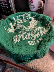 Oyster covered with damp towel