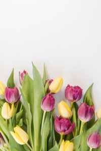 Tulip bouquet to brighten their day for Easter and Spring