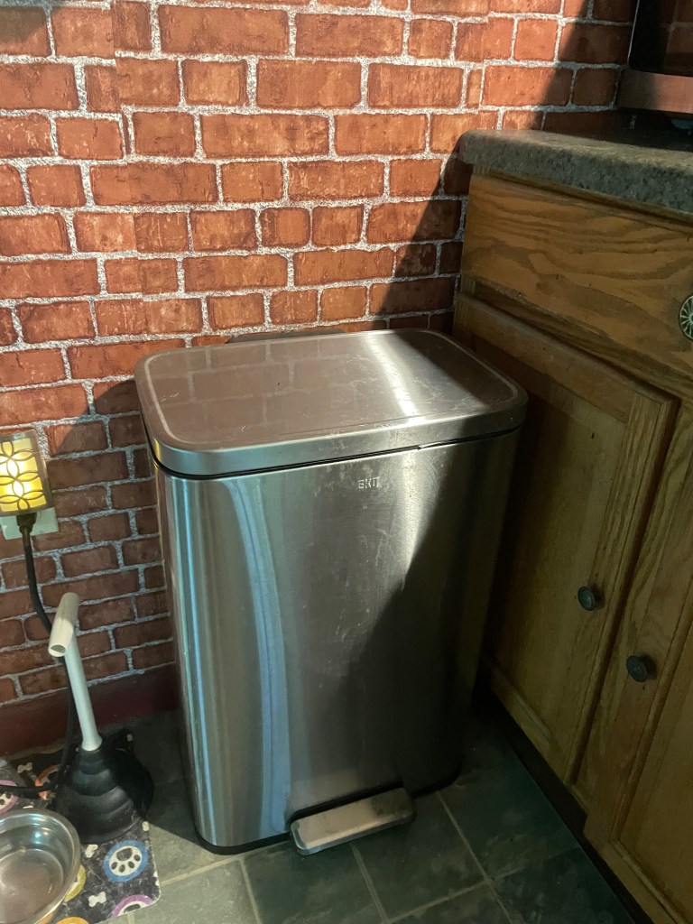 Kitchen garbage can