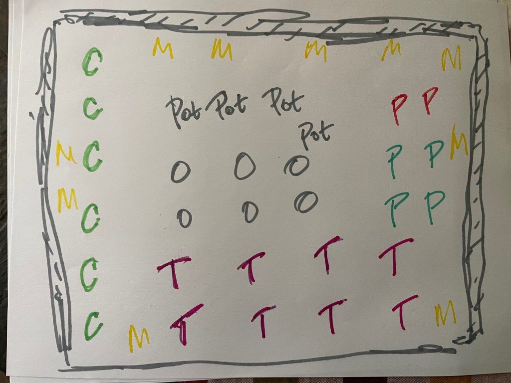 Gardening plan sketched out