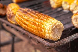 Grilled corn on the cob
