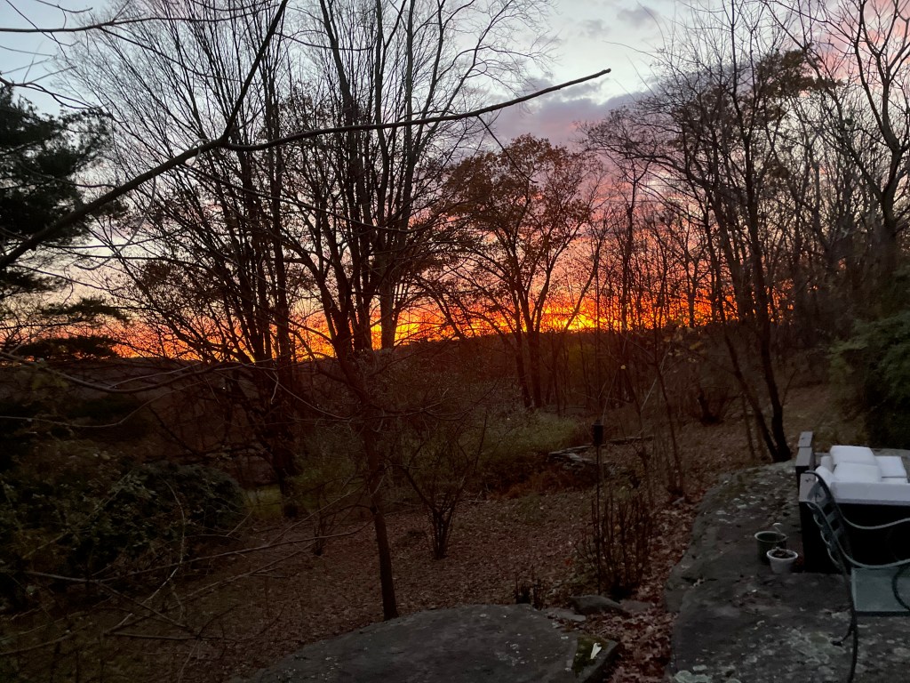 Fall sunset in my back yard