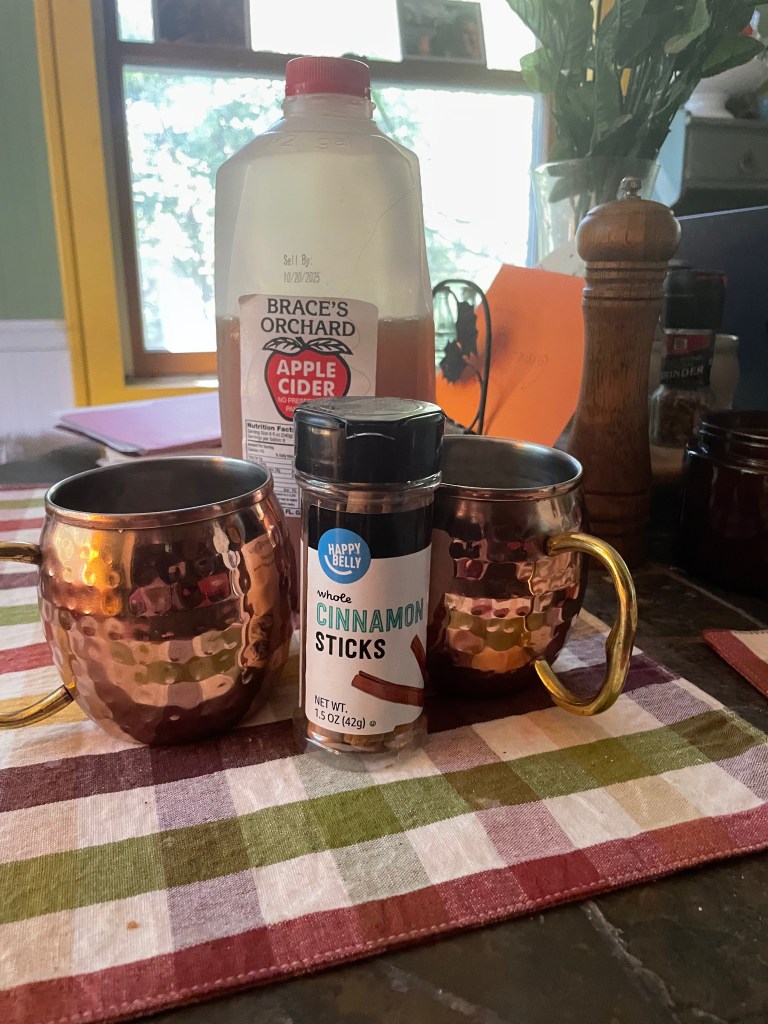 Apple cider hot toddy